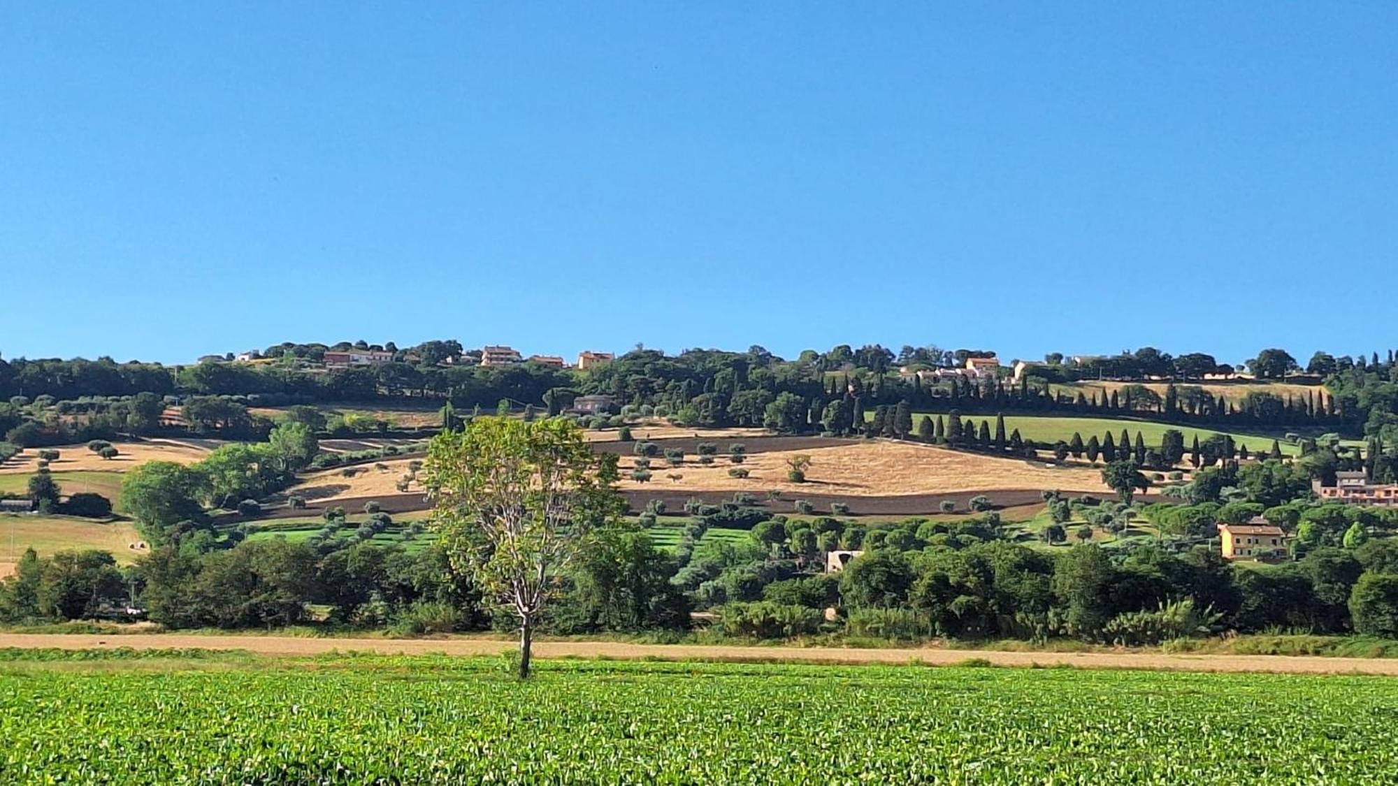 Nuovo Appartamento Bella Vista Vicino Al Mare Potenza Picena Esterno foto
